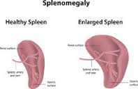 spelen