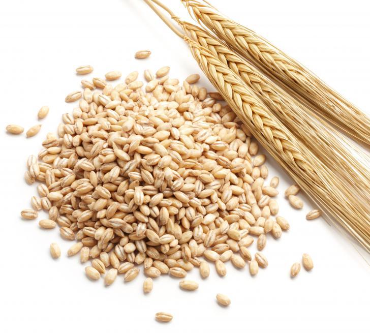 barley