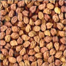 bengalgram