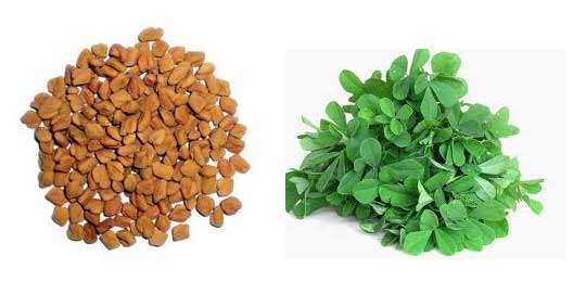 fenugreek