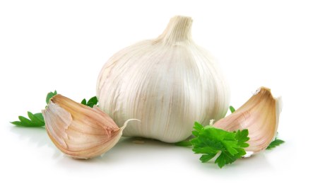 garlic