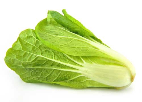 lettuce