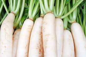 radish