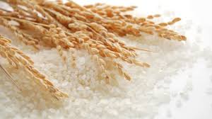 rice