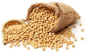 soyabean